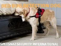 Security Patrol Dogs - Guard Dogs for Hire-Security Guard Dogs, Security Company-Dog Handler Security - Secure Site-Security Guard Dogs & Security Services -Security Dog Handlers London-London Detection Dogs | Sniffer Dogs | Canine Search-FeedbackExplosive Detection Dogs | Sniffer Dogs | Specialist Security-Search Dogs & Sniffer Dogs London-Narcotics Search Dogs & Explosive Search Dog in London